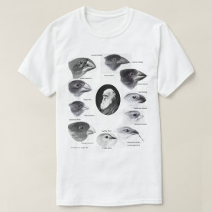 T-shirt Darwin's finches
