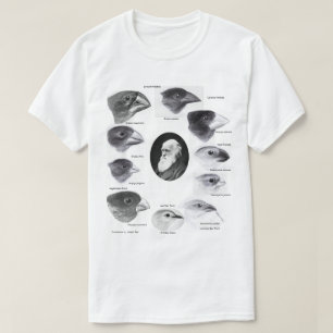 T-shirt Darwin's finches
