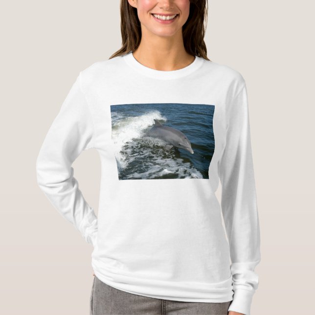 T-shirt Dauphin de Bottlenose (Devant)