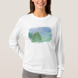 T-shirt Dauphins de Bottlenose Tursiops truncatus)