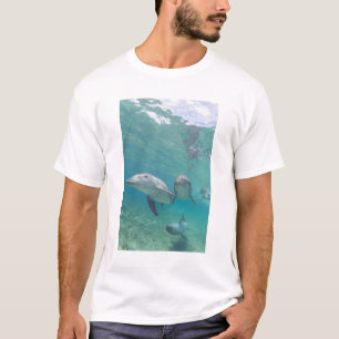 T-shirt Dauphins de verdure Tursiops truncatus