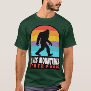 T-shirt Davis Mountains State Park Texas