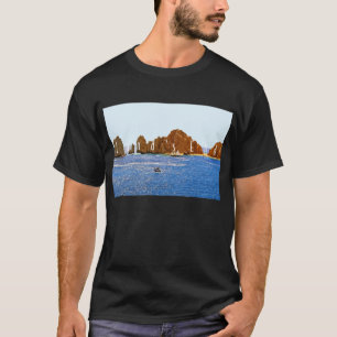 T-shirt de base foncé de Land's End