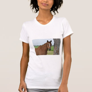 T-shirt de cheval