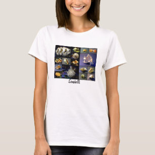 T-shirt de coquillages
