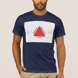 T-shirt de drapeau de Minasgerais