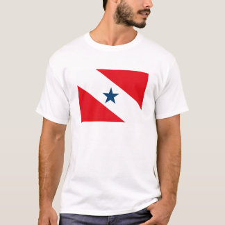 T-shirt de drapeau de Para