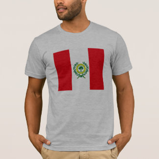 T-shirt de drapeau de Raleigh