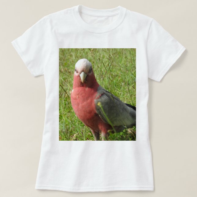 T-shirt de Galah (Design devant)