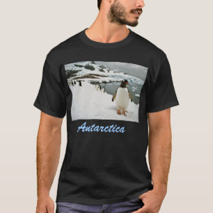 T-shirt de l'Antarctique