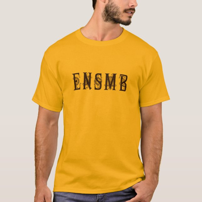 T-shirt de lumière d'acronymes d'ENSMB (Devant)