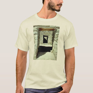 T-shirt de ruines