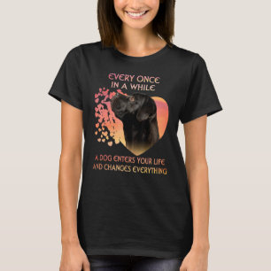 T-shirt De Temps En Temps, Un Corso En Canne Entre Dans La