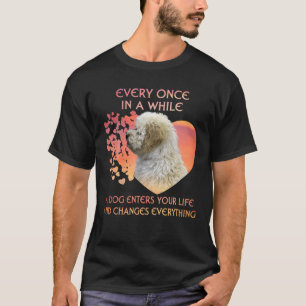 T-shirt De Temps En Temps, Un Maltipoo Entre Dans La Vie