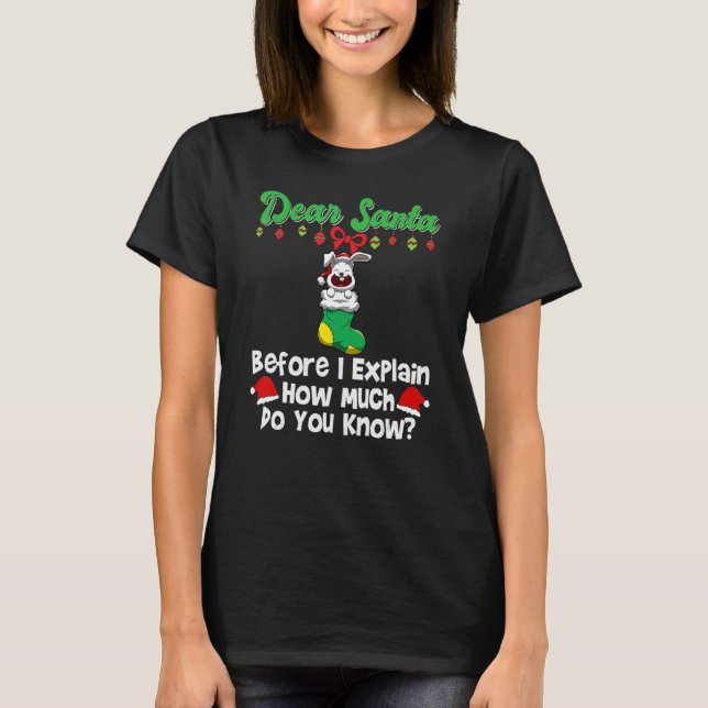 T-shirt Dear Santa Before I Explain How Much Do You Know_3 (Devant)