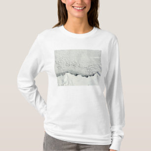 T-shirt Début du printemps en Antarctique