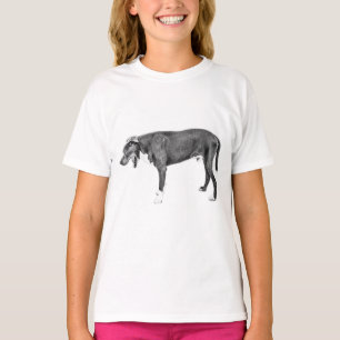 T-shirt Déclin : Mélange Bully en noir et blanc