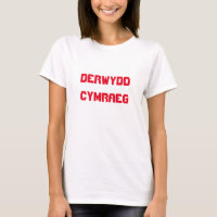 Derwydd Cymraeg, Druide gallois en gallois
