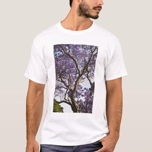 T-shirt Des arbres Jacaranda en fleurs dans le nouveau par (Devant)