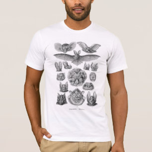 T-shirt des battes de Haeckel