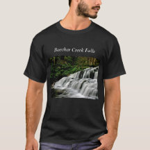 T-shirt des chutes du ruisseau Beecher à New York
