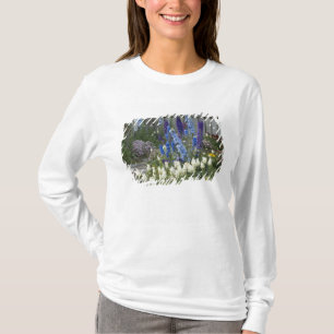 T-shirt Des fleurs printanières le long d'un chemin de ja