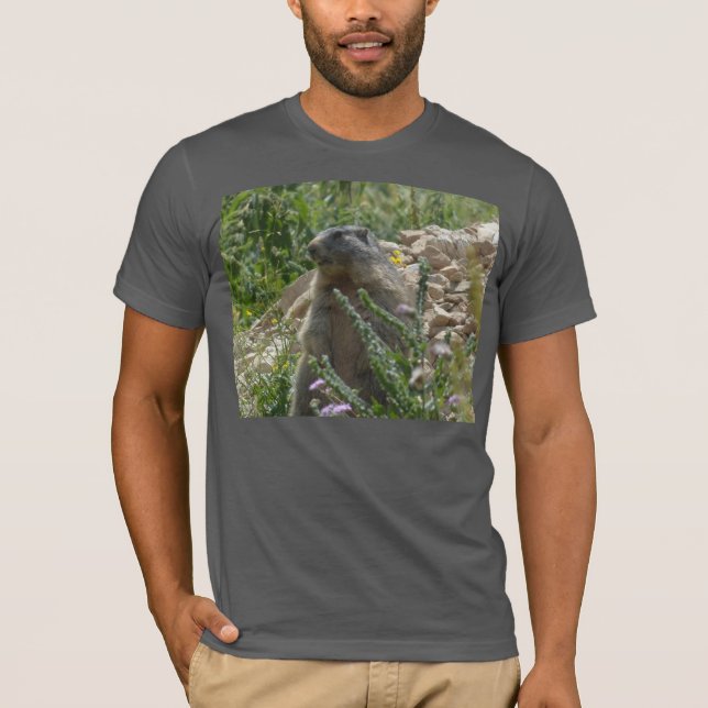 T-shirt des marmottes alpines (Devant)
