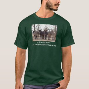 T-shirt Des six paquets vrai