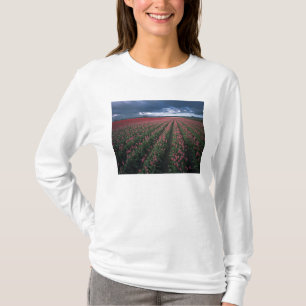 T-shirt Des tulipes roses et rouges brillent sous un ciel 