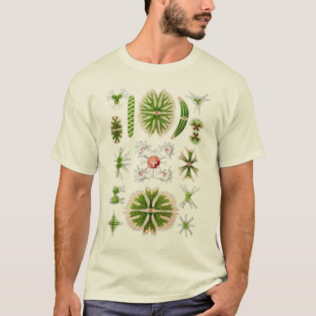 T-shirt Desmids (Devant)