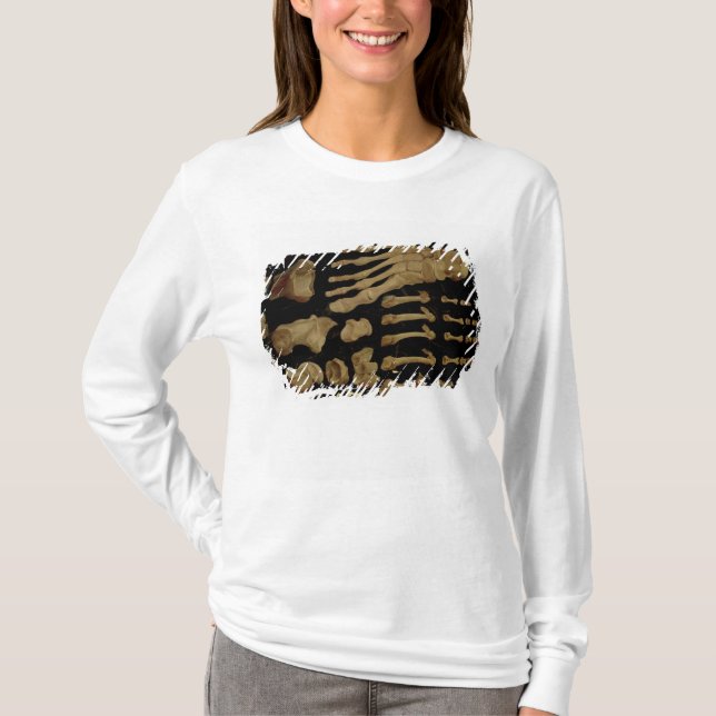 T-shirt Dessin anatomique des os du pied (Devant)