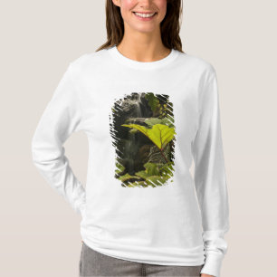 T-shirt Détail de plante dans un jardin botanique, Équateu