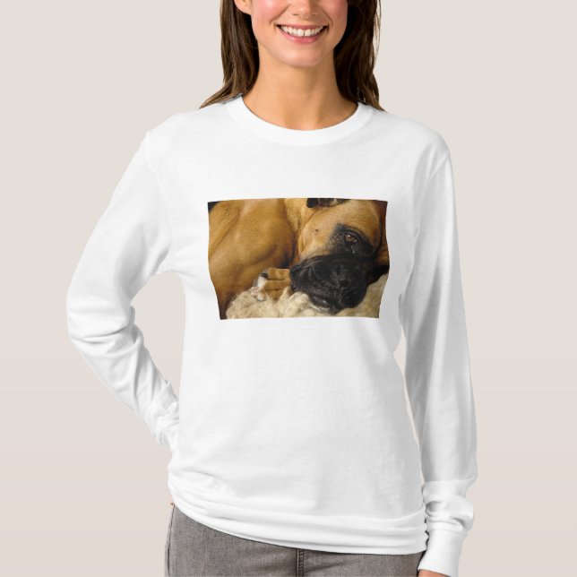 T-shirt Détail d'un Boxer (Devant)