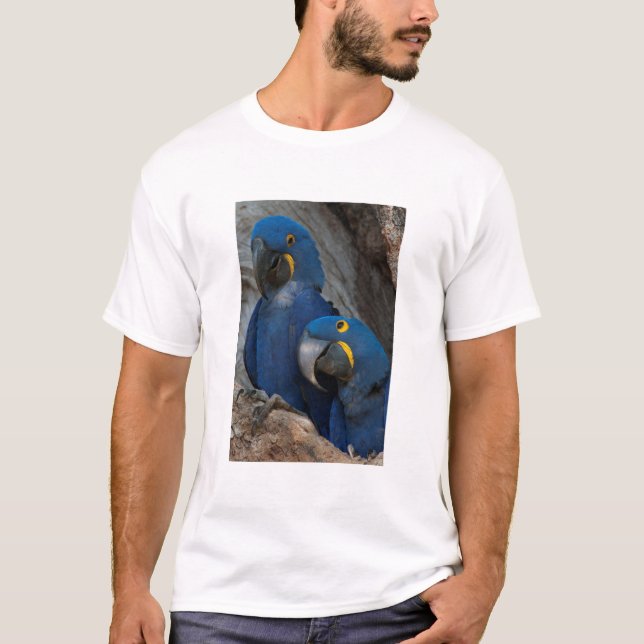 T-shirt Deux aras hyacinthes, Brésil (Devant)
