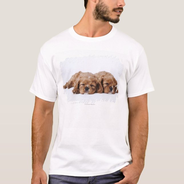 T-shirt Deux chiots cavaliers d'épagneul du Roi Charles (Devant)