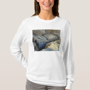 T-shirt Deux dispositifs en forme de boîte emballés