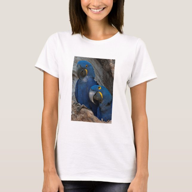 T-shirt Deux Macaws Hyacinth, Brésil (Devant)