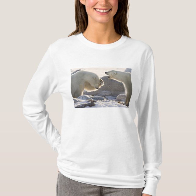 T-shirt Deux ours polaires (Devant)