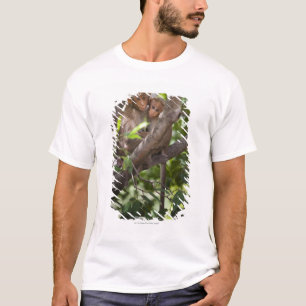 T-shirt Deux singes dans un arbre