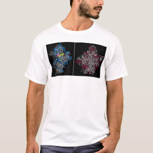 T-shirt deux sous-unités ribosomiques avec le trna et les