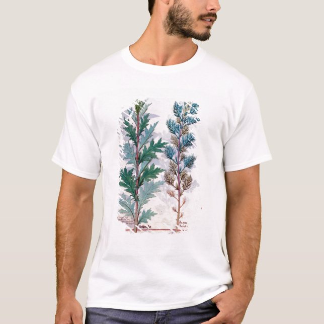 T-shirt Deux variétés d'Artemesia (Devant)
