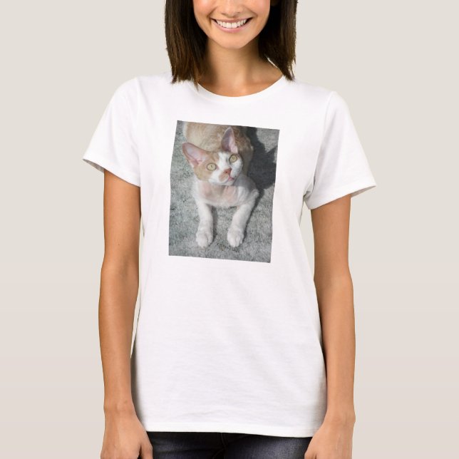 T-shirt devon rex mignon (Devant)
