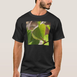 T-shirt Dew du matin sur la feuille de suif chinoise