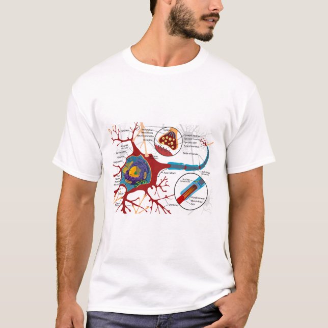 T-shirt Diagram Complete Neuron Cell Nerve Nervous System  (Devant)