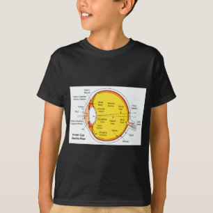 T-shirt Diagramme anatomique de la boule d'oeil humain