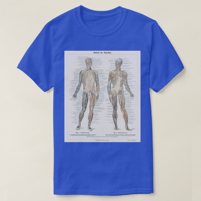 T-shirt Diagramme anatomique vintage (Design devant)