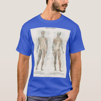 T-shirt Diagramme anatomique vintage
