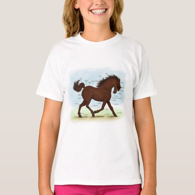 T-shirt Diagramme d'anatomie équine éducative du cheval Br (Devant)