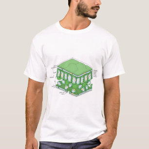 T-shirt Diagramme de cellule Plante de la structure de tis