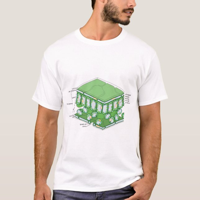 T-shirt Diagramme de cellule Plante de la structure de tis (Devant)